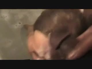 25f18730899af7b1db8c39f700e2c758
