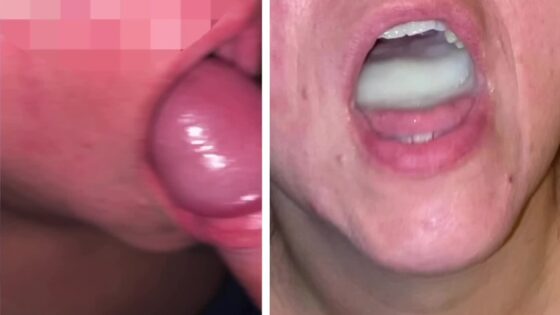 934fe177ef12170e1a2dcacd6377c5f8